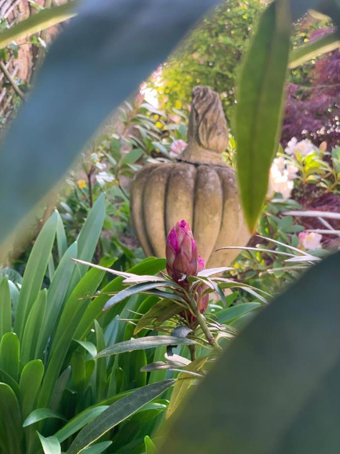 Cote Jardin Bed & Breakfast Sainte-Suzanne  Екстериор снимка