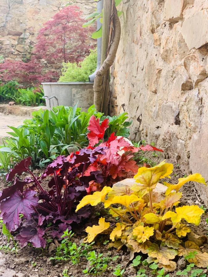 Cote Jardin Bed & Breakfast Sainte-Suzanne  Екстериор снимка