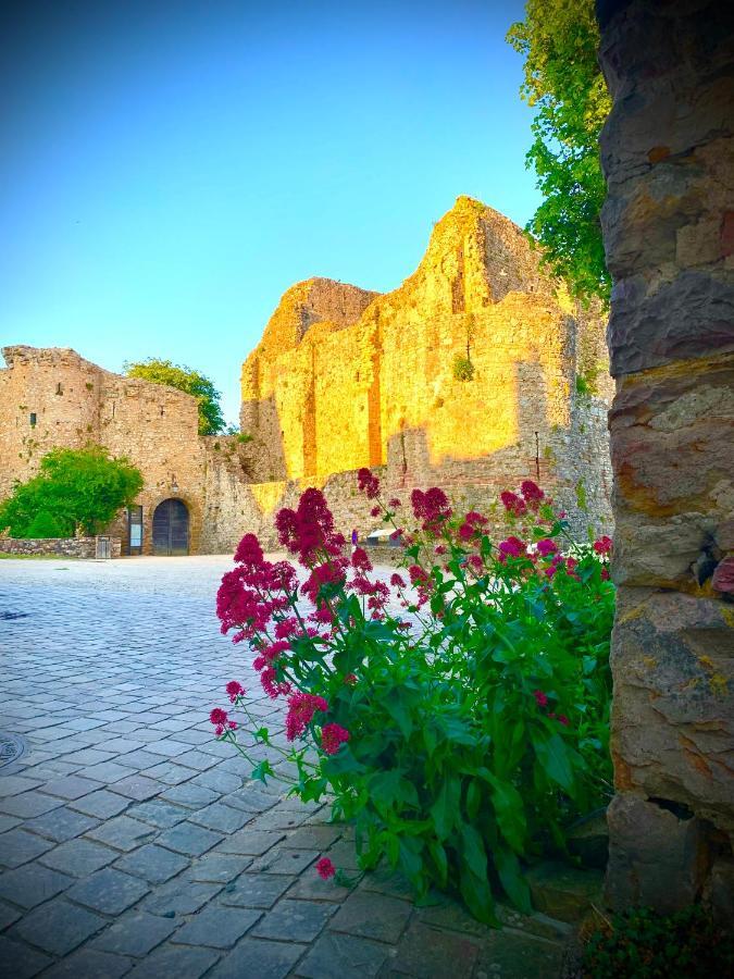 Cote Jardin Bed & Breakfast Sainte-Suzanne  Екстериор снимка